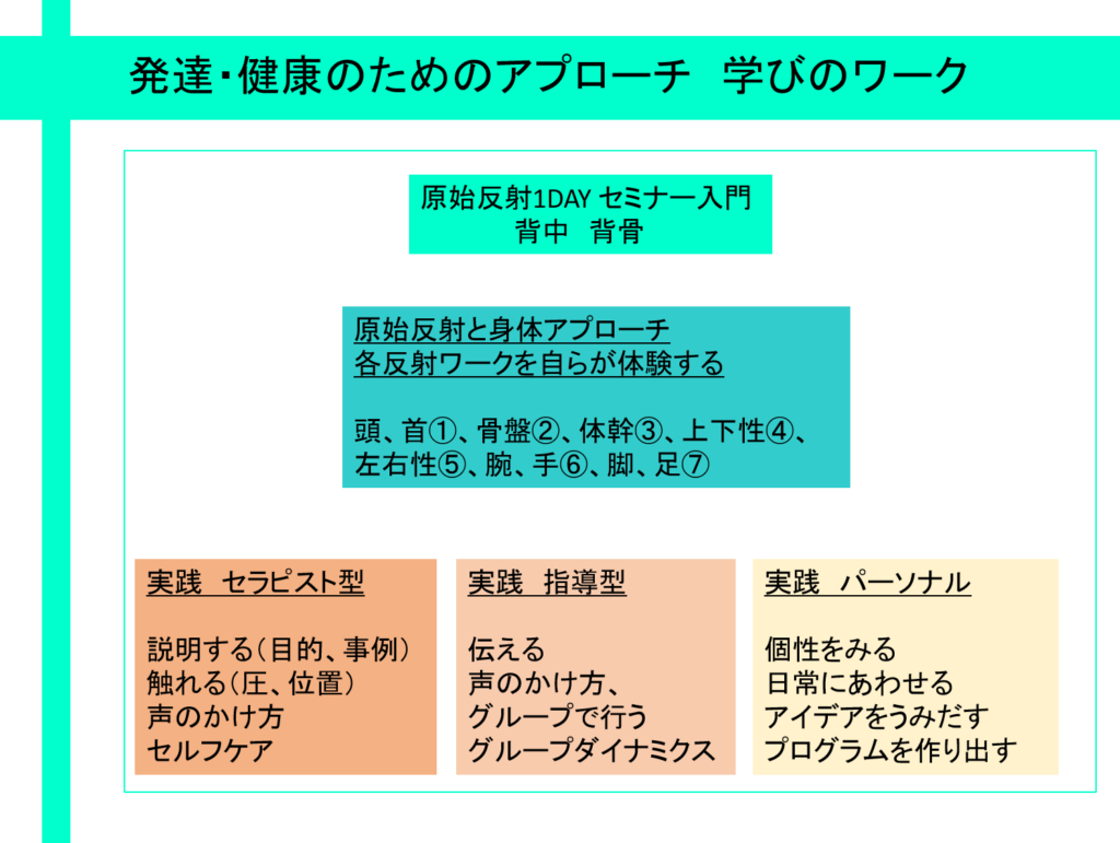 原始反射セミナー ペレーズ反射を取り上げました 笑顔で 自分らしく 貢献していくために アロマセラピーと世界の自然療法を学ぶスクールなら東京 表参道のimsi