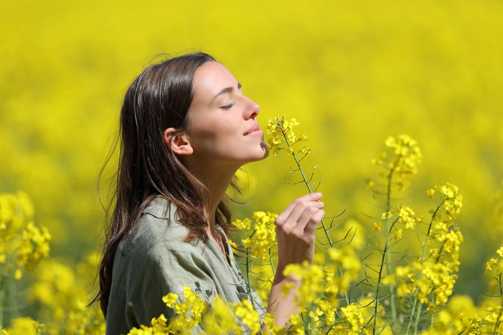黄色い花畑で花の香りを嗅ぐ女性