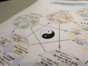 スピリットとアロマテラピー著者ガブリエル先生の東洋医学チャート